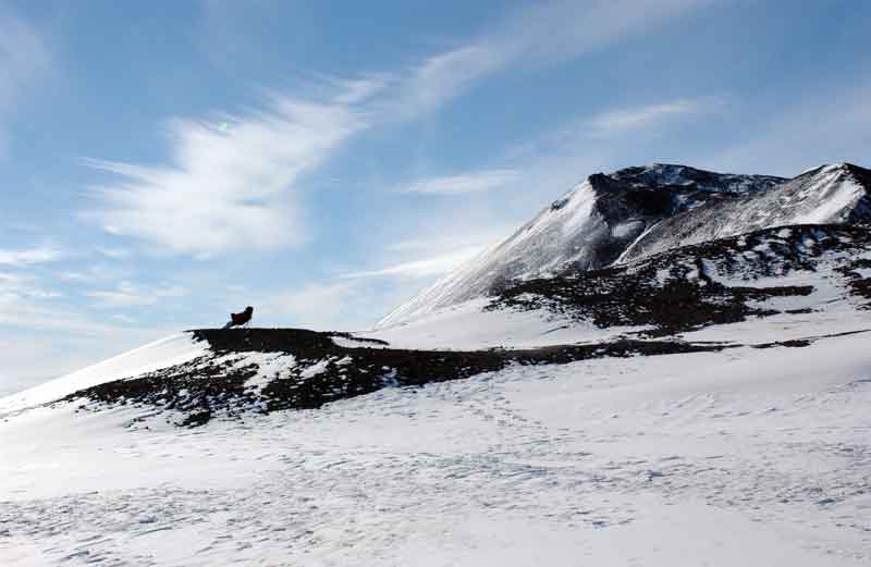 AntarcticLawnChair